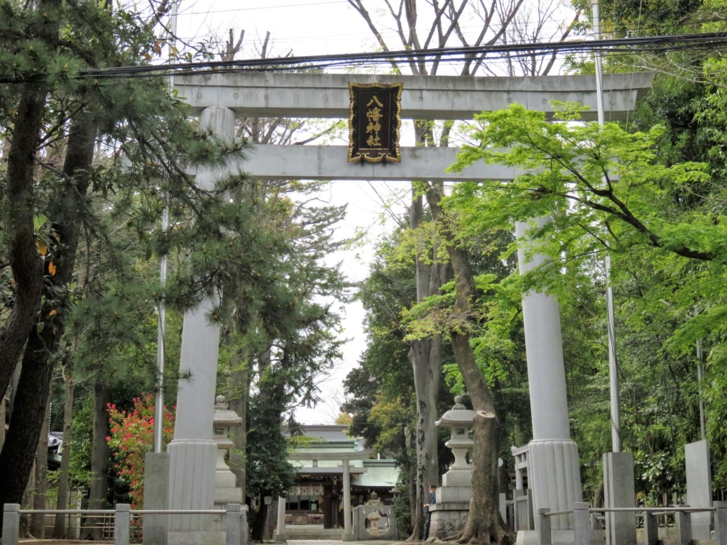 荻窪八幡神社一の鳥居